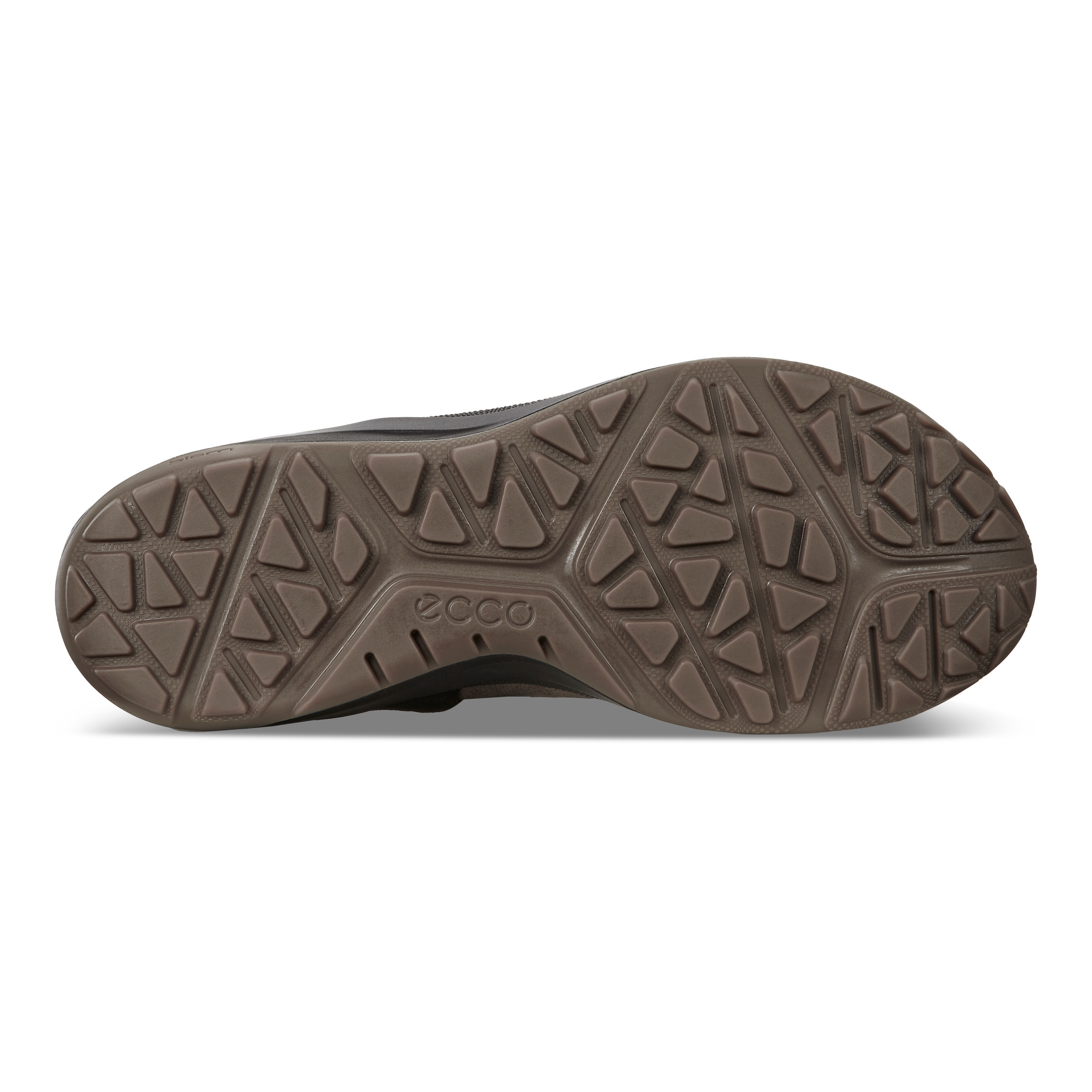 ecco men's biom 2go sneaker