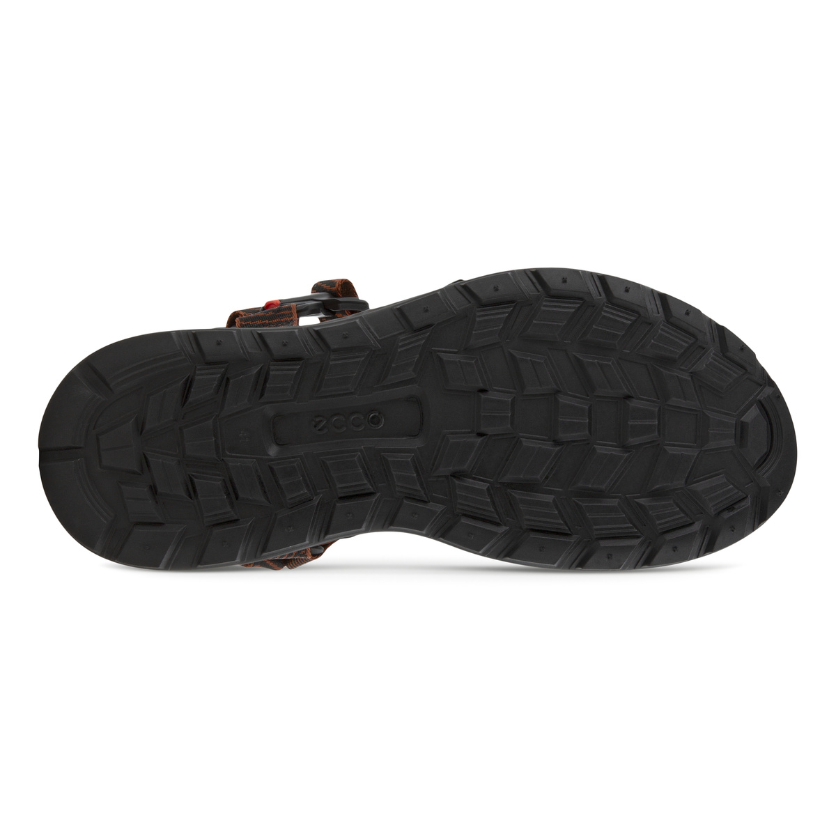 Sandals ECCO EXOWRAP M ECCO Shoes NZ